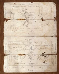 Manuscript on traditional medicine